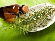 Применение и полезные свойства масла чайного дерева