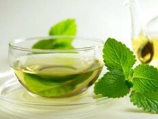 Зеленый чай польза и вред
